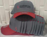 10 New Assinboine College Snapback Ball Caps - O/S