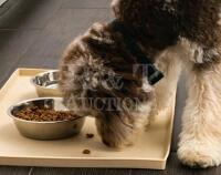 LeashBoss Splash Mat Dog Food Mat with Tall Lip , 17"&times;25" - New