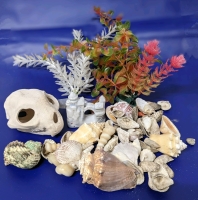 Vintage Aquarium Decorations and Sea Shells in Vintage Flavor-Savers Container