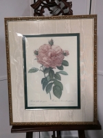 Vintage Framed Rose Print - The Bombay Company