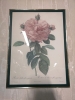 Vintage Framed Rose Print - The Bombay Company - 2