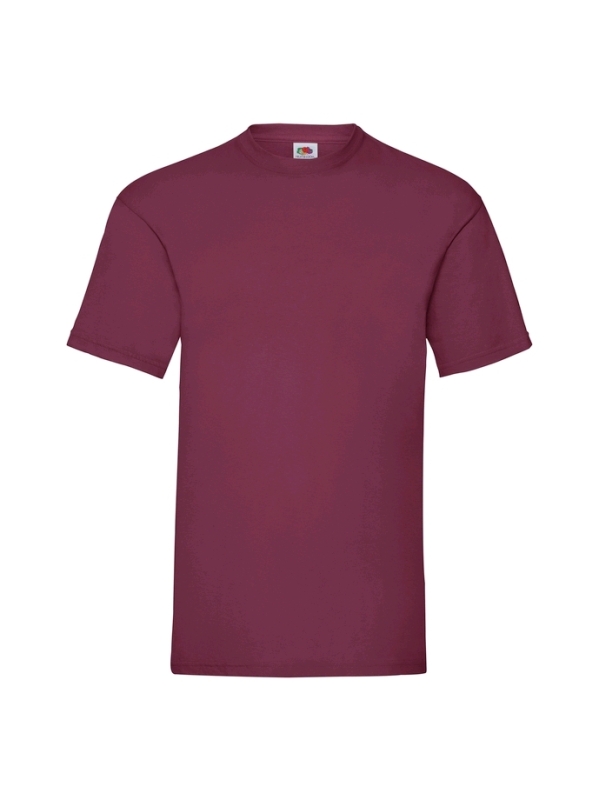 6 New Fruit of the Loom Best Men's T Shirts - XL