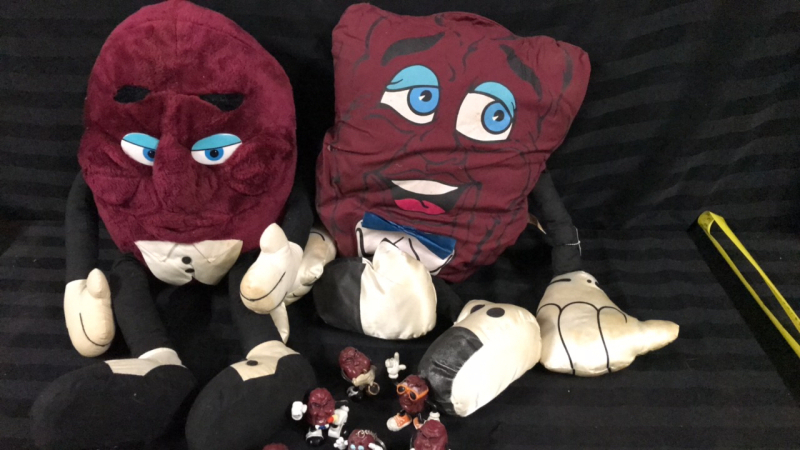 California Raisons Plush & Raisonets