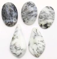 5 DENDRITE AGATE Cabochons 100 Carats.
