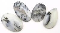 4 DENDRITE AGATE Cabochons 100 Carats.