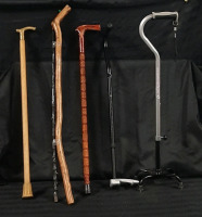 Four Canes and Two Walking Sticks