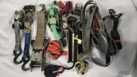 Lot of Ratchet Straps & Tie Downs