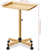 Retain Time Premium Aluminum Salon Tray, Sturdy Adjustable Tray . New - 2