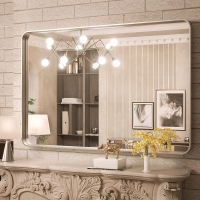 New TokeShimi Brushed Silver Bathroom Mirror - 30"&times;40"