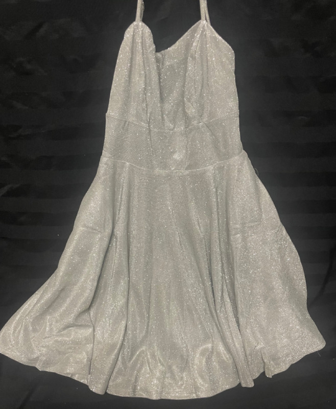 NEW Lovely Day Nina Glitter Tie Back Dress Silver size Small