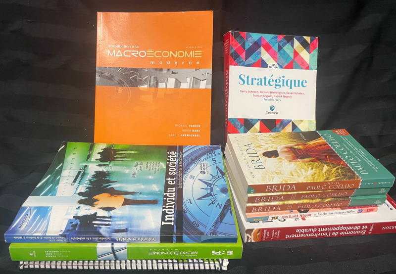 Assorted French Textbooks + 3 Brida Novels