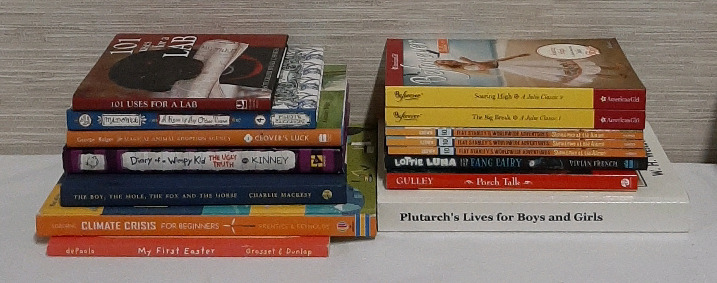 Assorted Softcover and Hardcover Assorted Books for Children and Teens