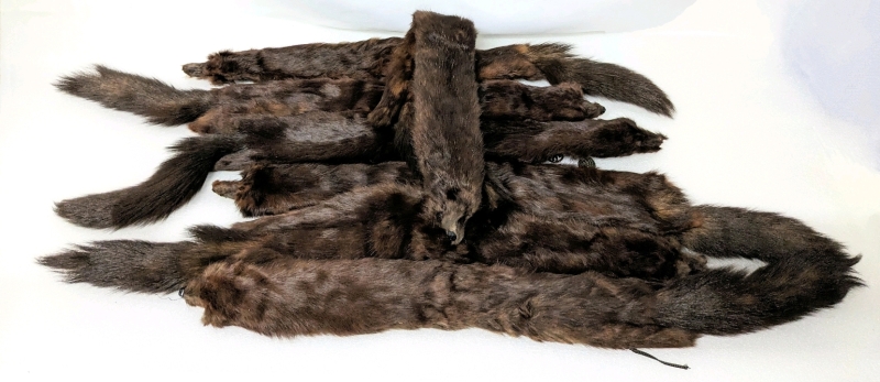 Vintage Mink Stole : 8 Weasels for Restoration or Crafting