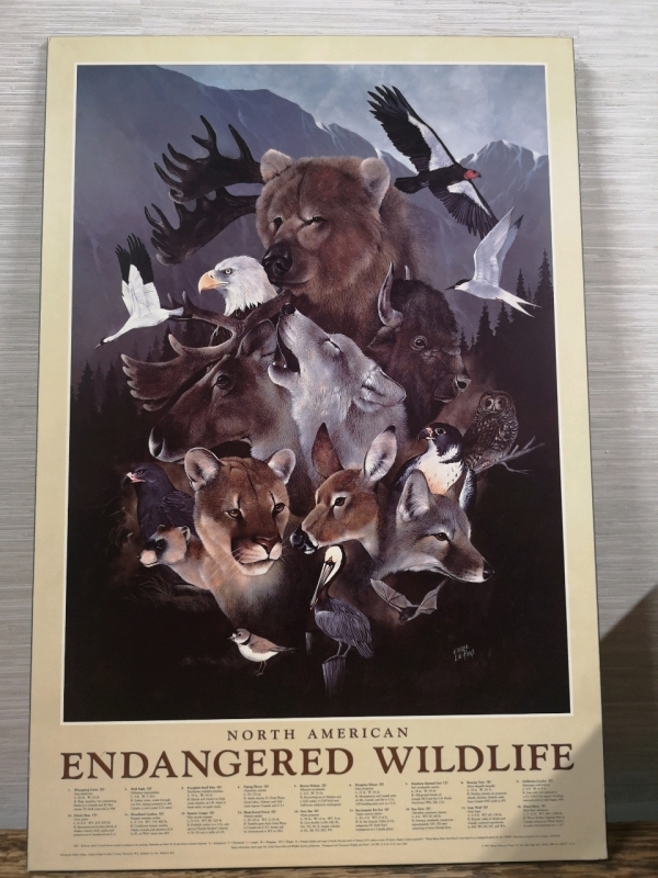 Large Plaque Board North American Endangered Wildlife Picture