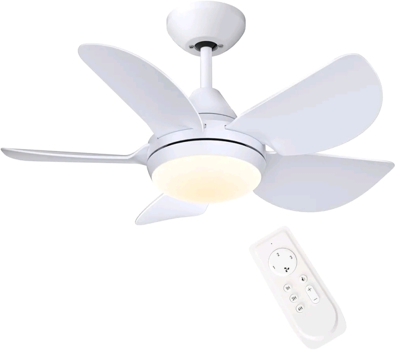 New Cjoy Ceiling Fan with Light