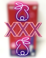 ADULTS ONLY: New Satisfier Magic Bunny Vibrator