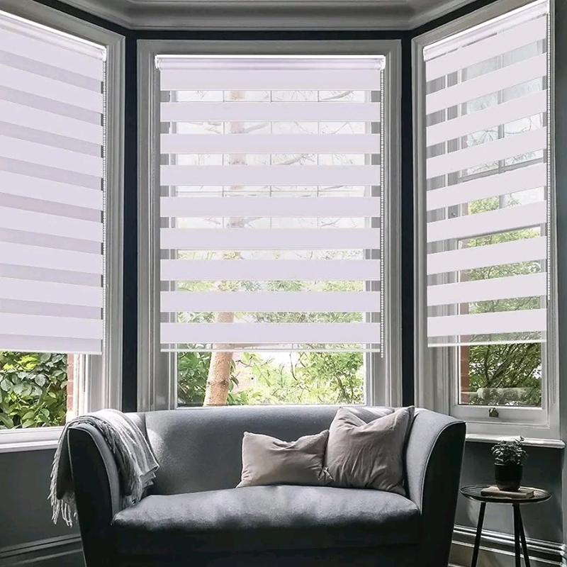 LUCKUP Easy Fix Zebra Roller Blinds 2 Pack