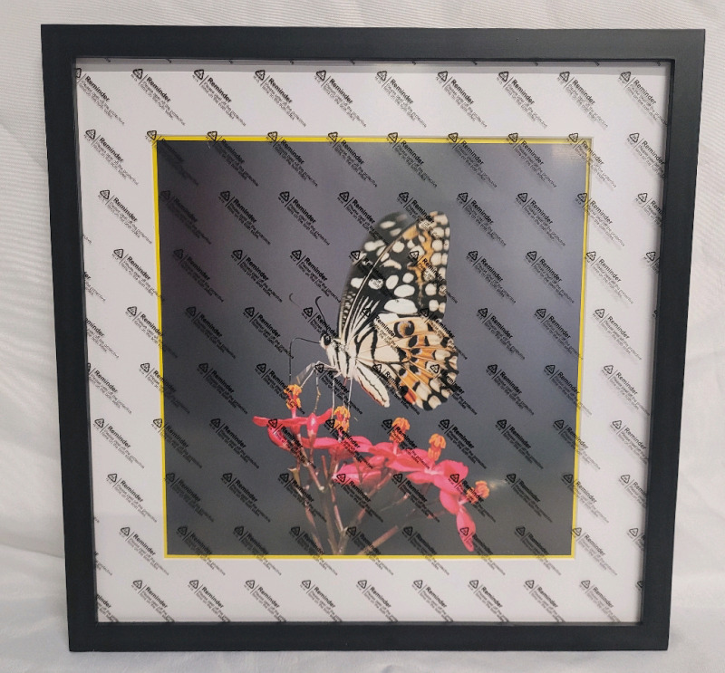 New - 17 1/4"×17 1/4" Black Frame with White Matting Picture Frame , will Hold 12"×12" Picture
