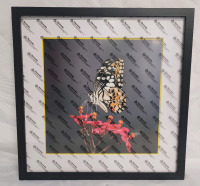 New - 17 1/4"×17 1/4" Black Frame with White Matting Picture Frame , will Hold 12"×12" Picture