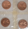 1963 - 1966 Canadian Uncirculated Pennies in Cellophane , 16 Coins , 4 each - 5