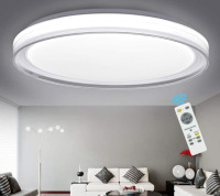 LED Ceiling light 48W