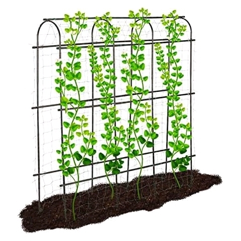 Lalahoni Garden Trellis