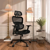 Unassembled Sunnow Ergonomic Office Chair