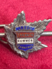 1890 Toronto Summer Carnival Brooch - 2