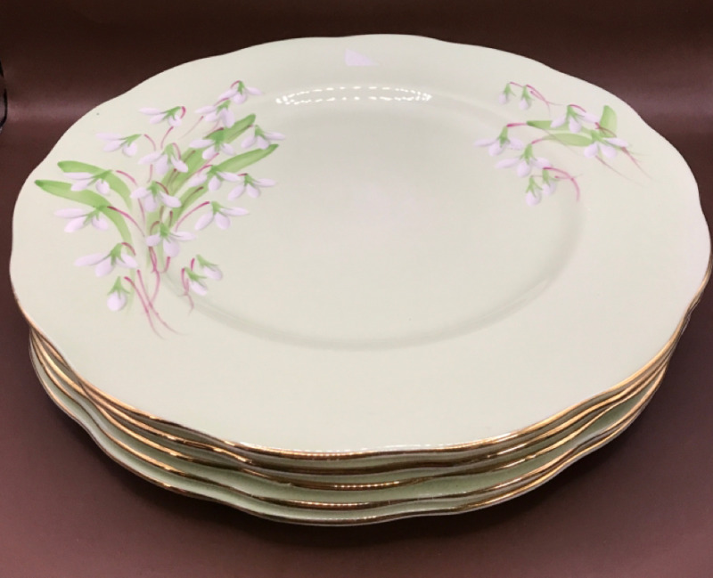 5 Royal Albert England Laurentian Snowdrop Dinner Plates 10 inches wide