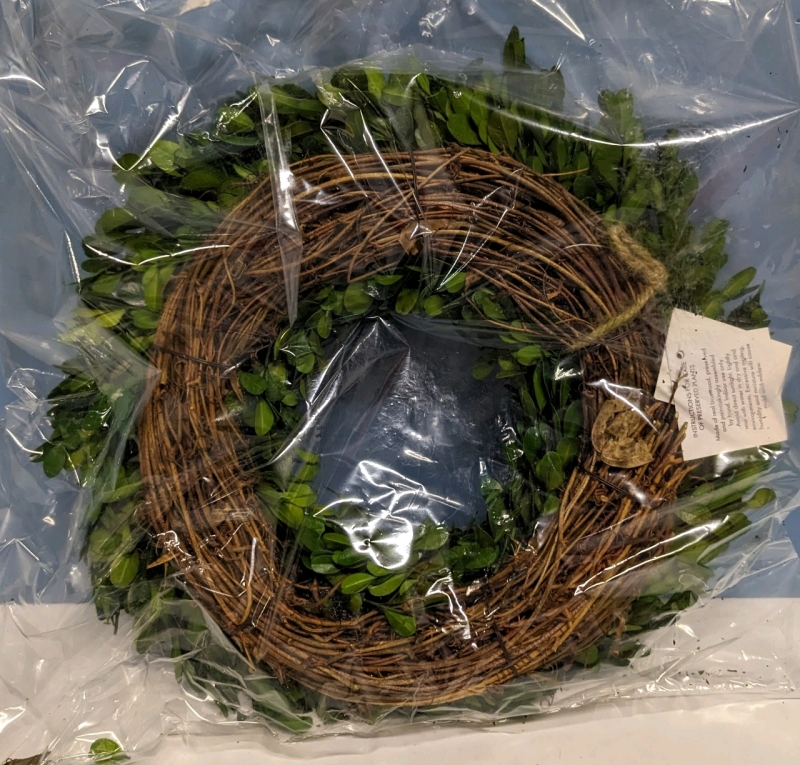 New Boxwood Land 14" Boxwood Wreath