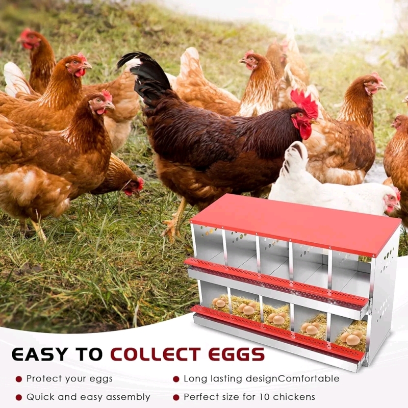 Livosa 10 Compartment Nesting Box For Chickens / Hens