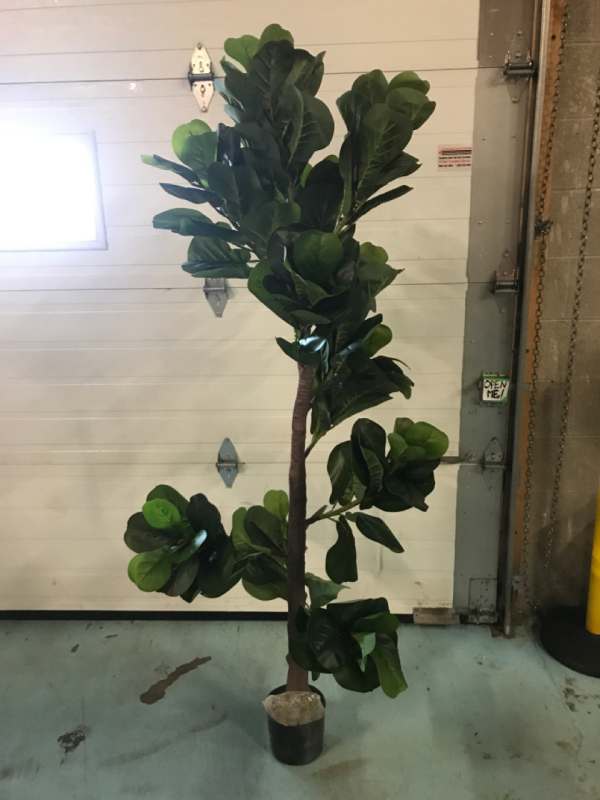 New Artificial Pom Fiddleleaf Plant 6foot