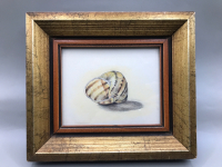 Vintage Pencil & Watercolor of Shell by S Boychuk 1979 frame 7 x 6.5 inches