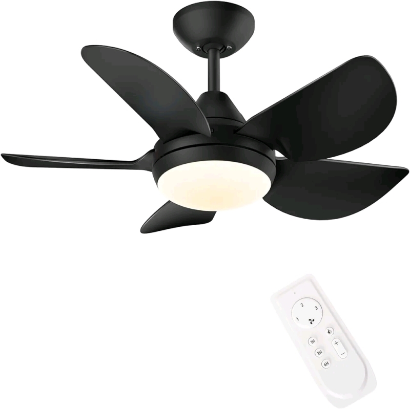 New Cjoy Ceiling Fan with Light