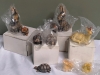 17 New Figures - Frogs, Deers, Bunnies, turtles, and a Wizard - 3