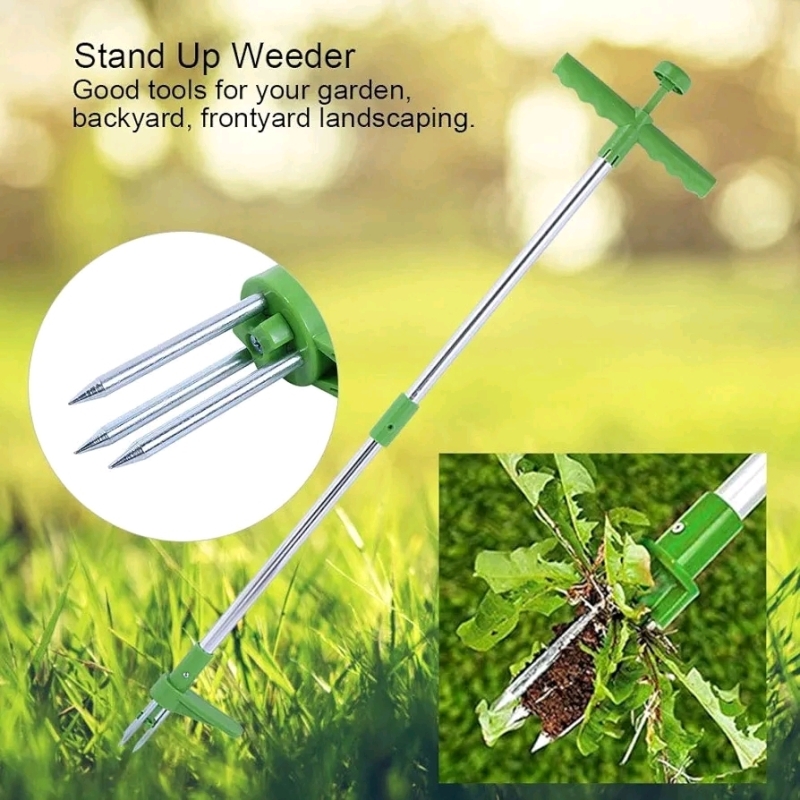 New 3-Prong Weed Remover