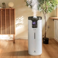 New Lacidoll Ultrasonic Humidifier - Model LCDJSQ-J19