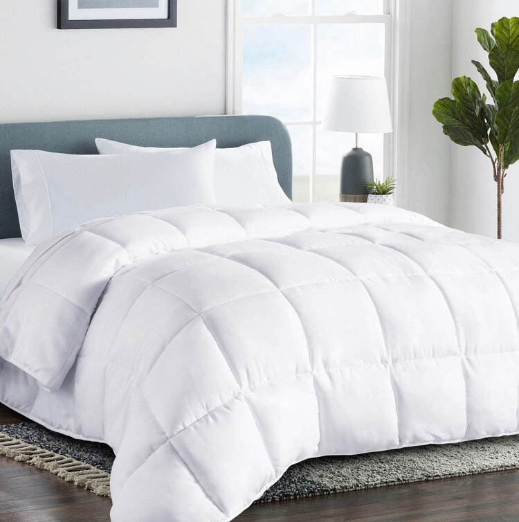 New Cohome King Comforter