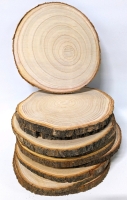 10 New Large Natural & Unfinished Tree Slices 10" Across