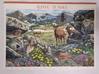2006 US Postal ' Nature of America : Alpine Tumdra , 9th ' 41 Cent Postage Stamp Panel
