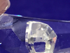 Swarovski Crystal Dashhound 3 inches long - 5