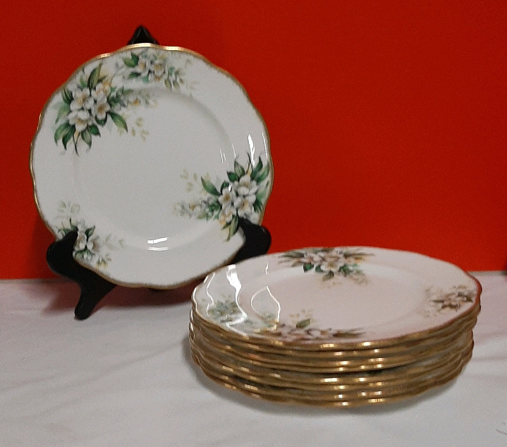 Vintage 9 Royal Albert Orange Blossom Dinner Plates 10.25"