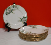 Vintage 9 Royal Albert Orange Blossom Dinner Plates 10.25"