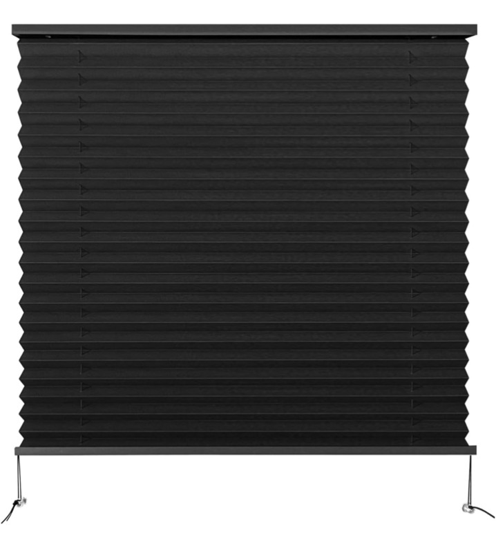 Dulepax RV Pleated Shades for Window , 26" W x 24" L , Black