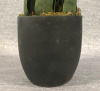 Artificial Decorative Sansevieria / Snake Plant Plant - 3