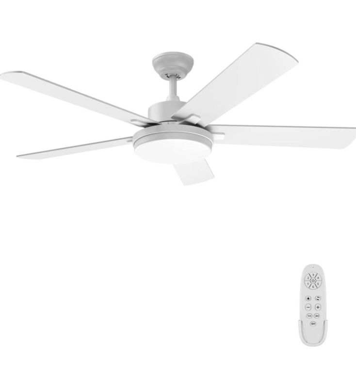 Luxury Ceiling Fan