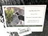 10 New CAT SCAT MATS 16" x 13" : Humane Cat Deterrent: Keep Cats from Pooping in Your Petunias! - 3