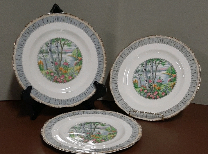Vintage 3 Royal Albert Silver Birch Dinner Plates. 10"
