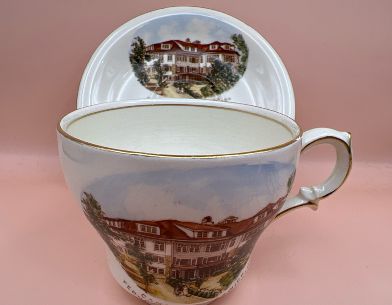 Royal Winton England Tea Cup Saucer Canadian Keswick Muskoka