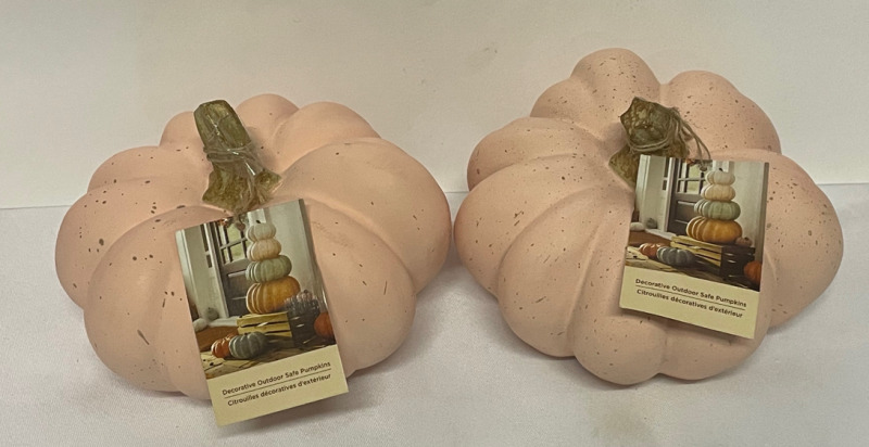 NEW 2 Ceramic Pink Speckled Pumpkins